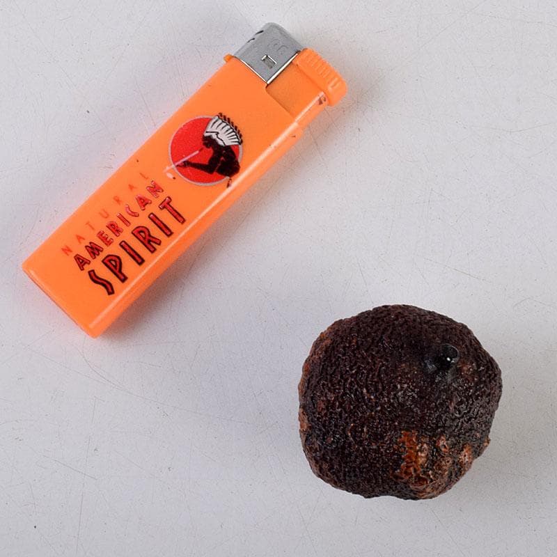 茶道具　輪島塗　川岸充雅作　柚子香合　共布共箱　V　9160