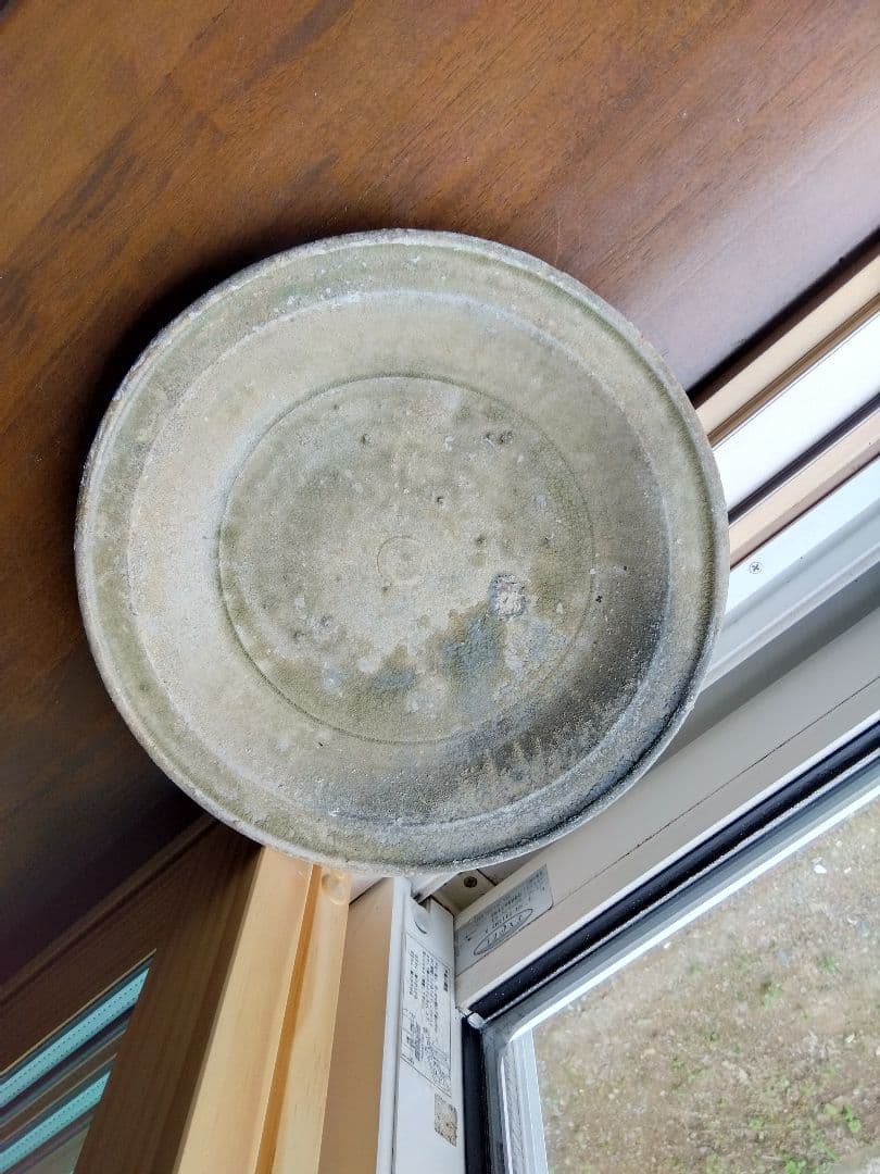 中国陶磁。皿。海上がり