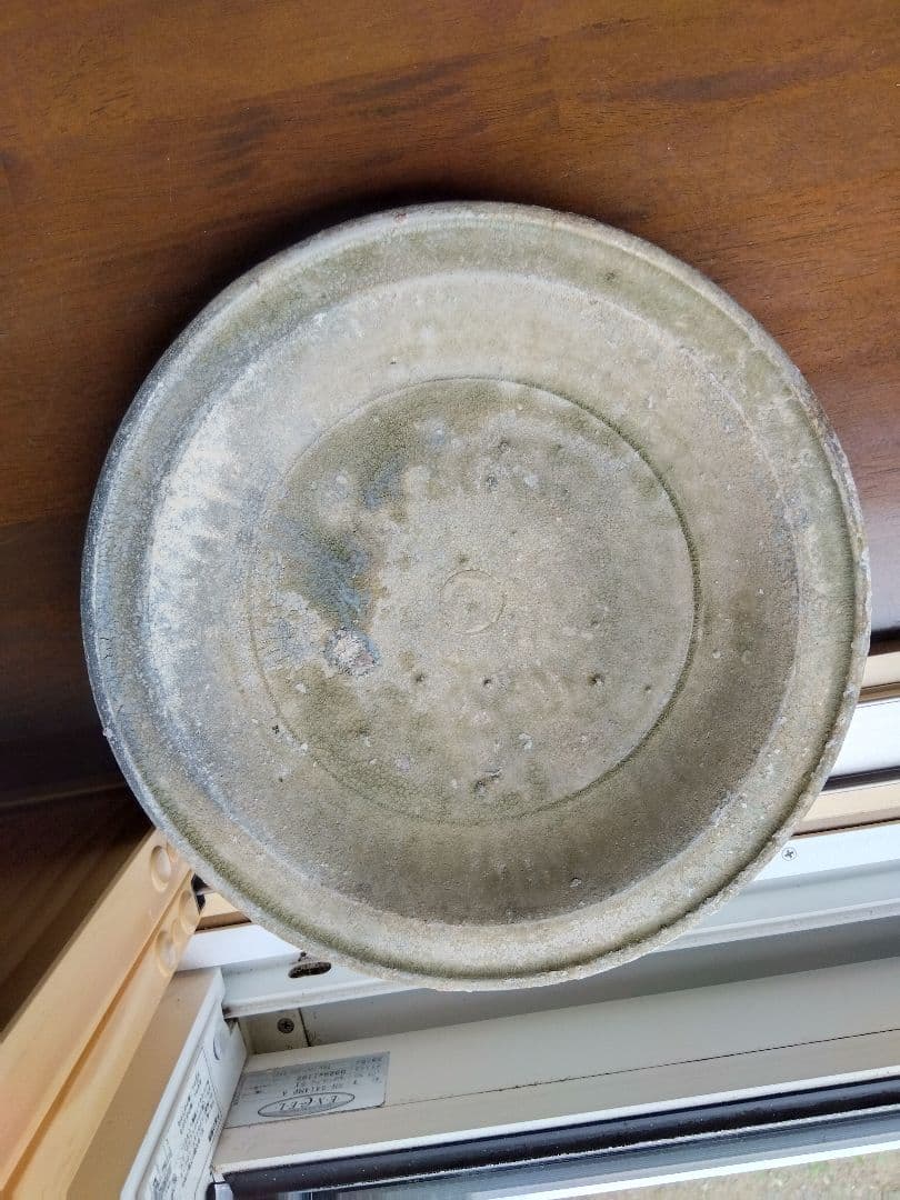 中国陶磁。皿。海上がり