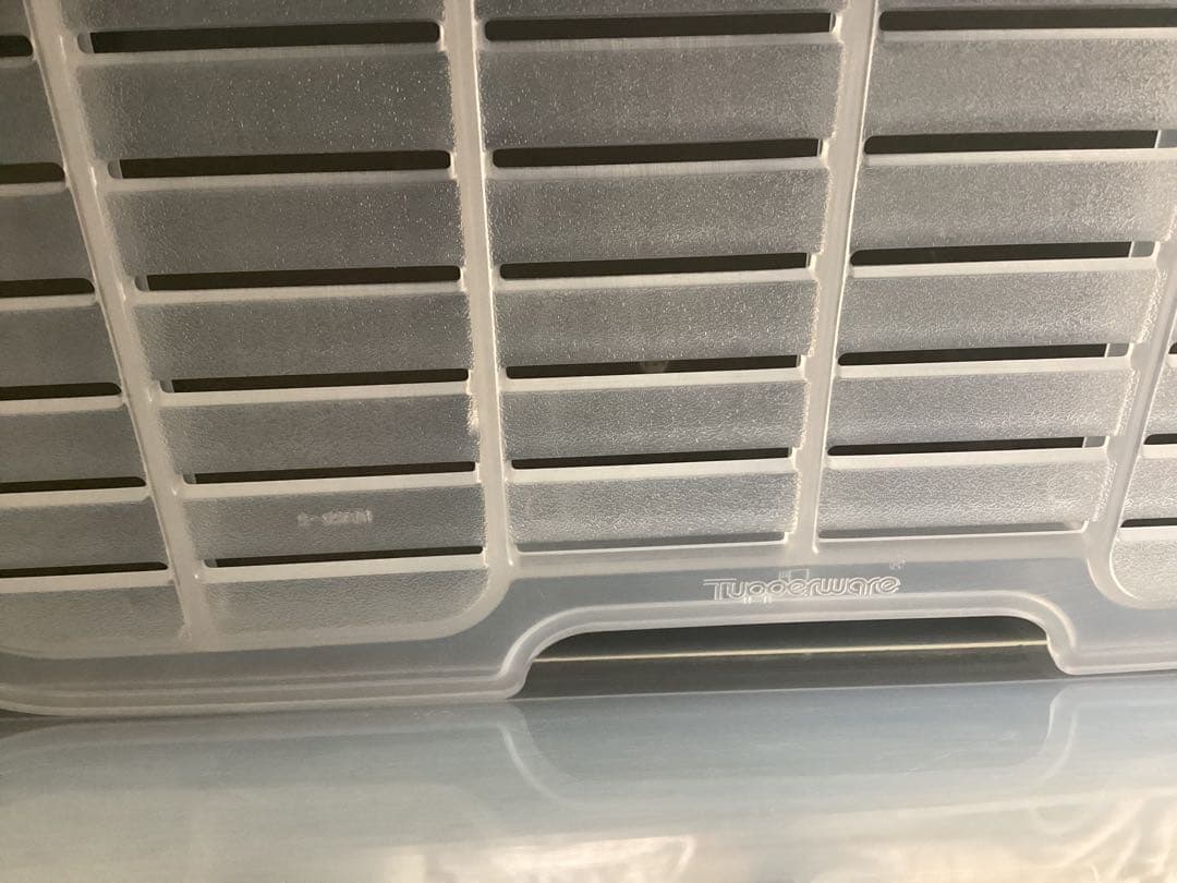 希少‼️タッパーウェア 大　すのこ付