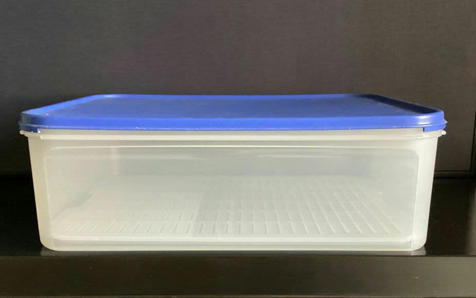 希少‼️タッパーウェア 大　すのこ付