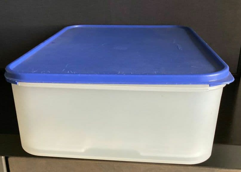 希少‼️タッパーウェア 大　すのこ付