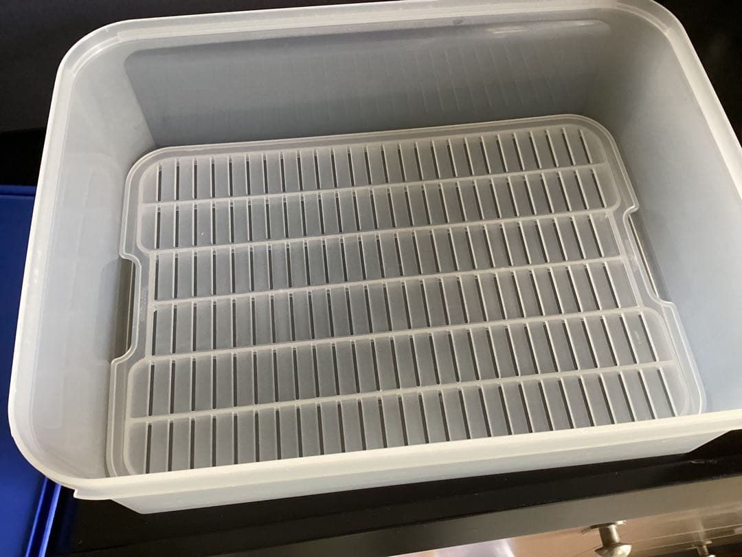 希少‼️タッパーウェア 大　すのこ付