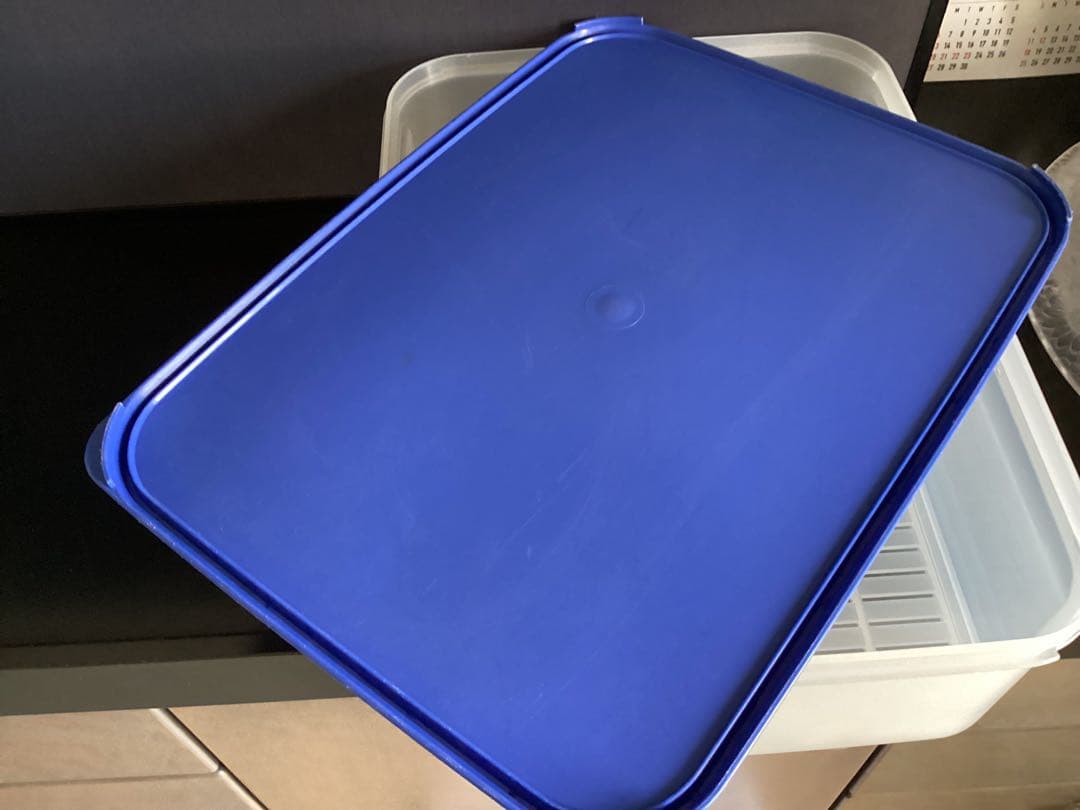 希少‼️タッパーウェア 大　すのこ付