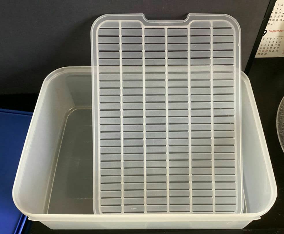 希少‼️タッパーウェア 大　すのこ付