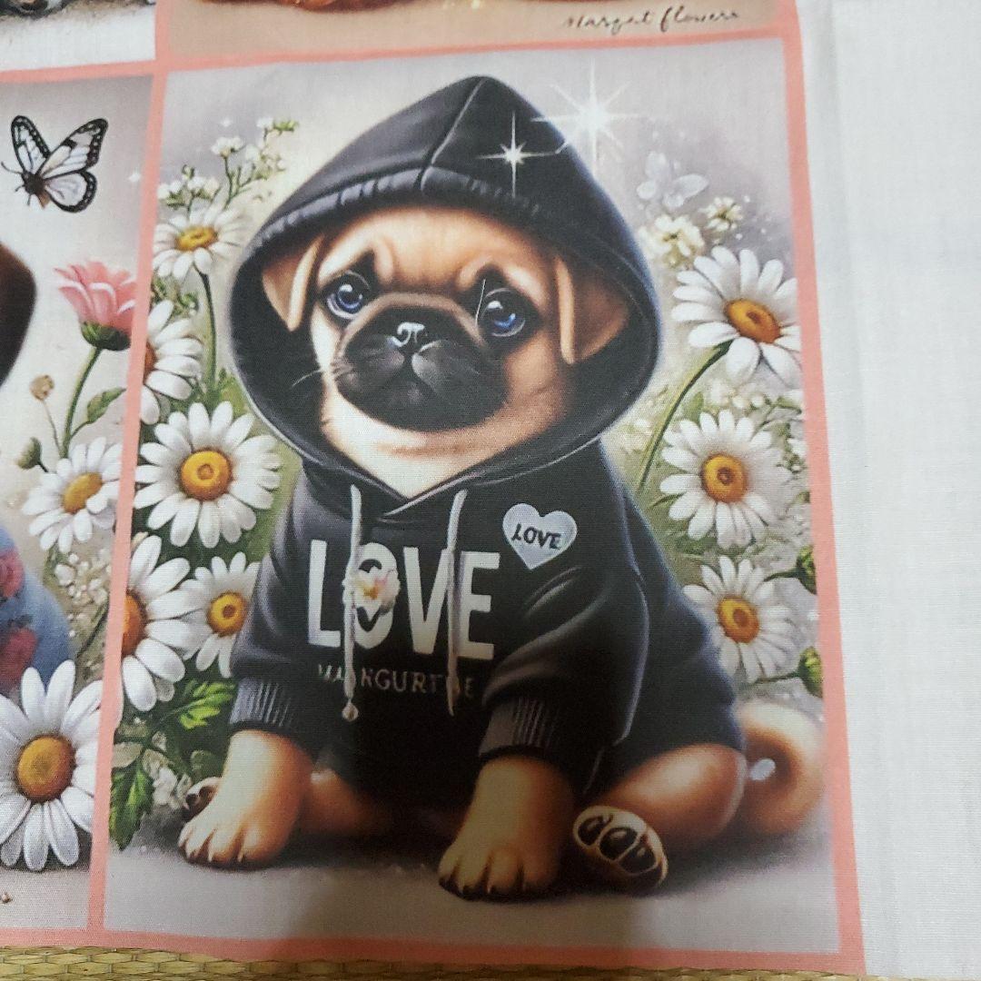 アロママです。
パピヨンちゃん
パグちゃん