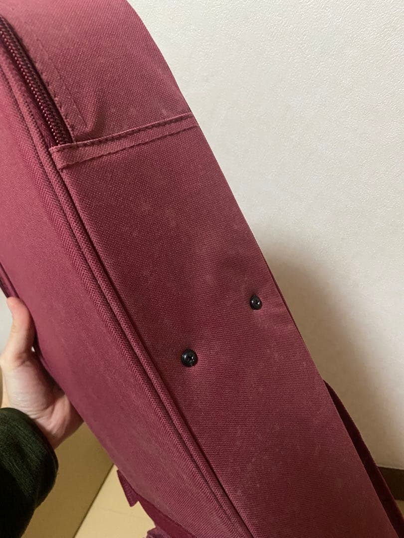 三線 本蛇皮 蛇革 沖縄 楽器【楽譜付き】