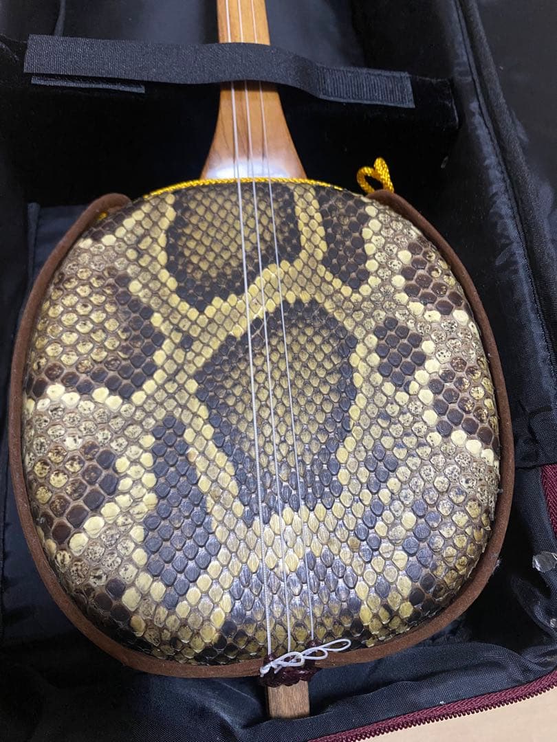 三線 本蛇皮 蛇革 沖縄 楽器【楽譜付き】
