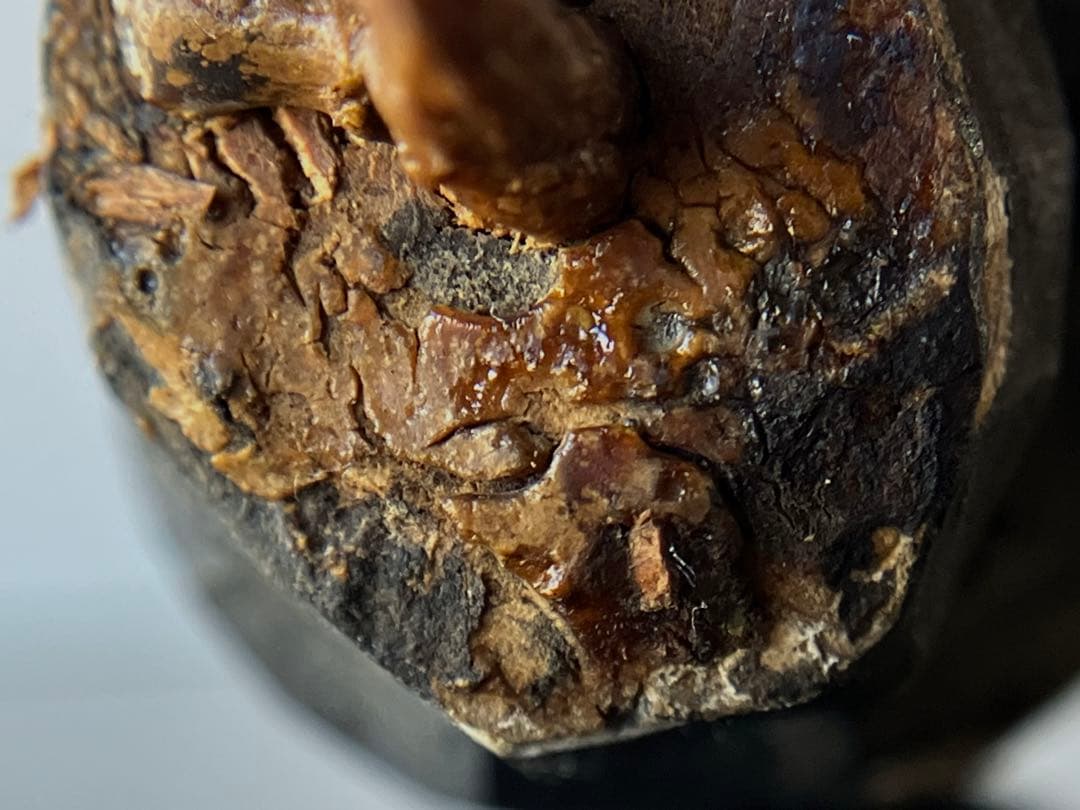 【祈りの木彫仏頭 室町後期〜江戸初期頃 約4.5㎝】残欠古美術骨董歴史資料お守り