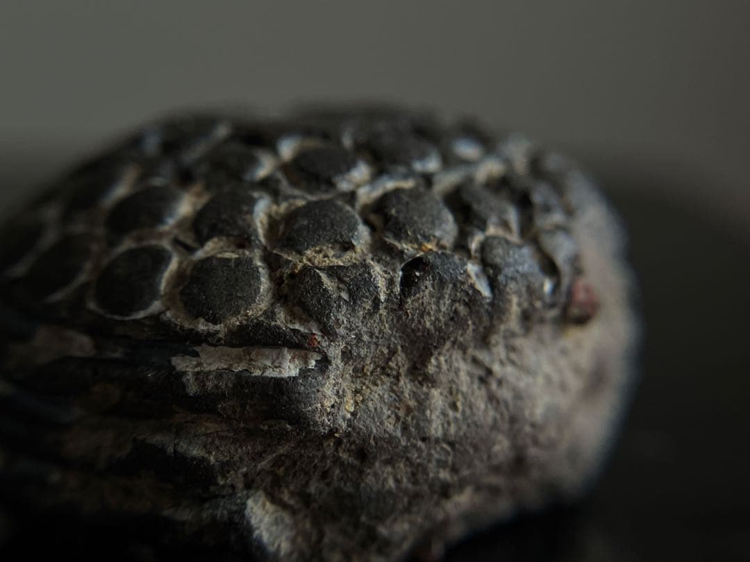 【祈りの木彫仏頭 室町後期〜江戸初期頃 約4.5㎝】残欠古美術骨董歴史資料お守り