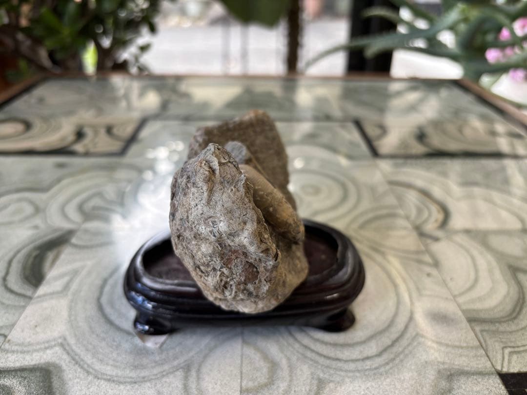 アンモナイト　化石　鉱石　希少　インテリア　6