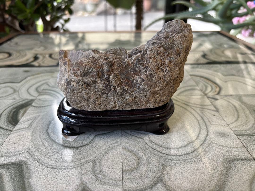 アンモナイト　化石　鉱石　希少　インテリア　6