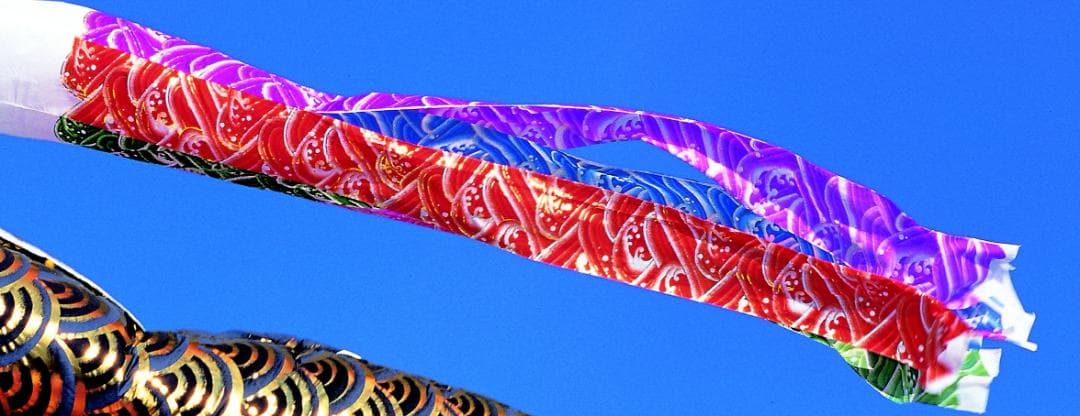 3m吹流し　単品　金箔波柄五色吹流　鯉のぼりの一番上につける吹流し単品です　新品