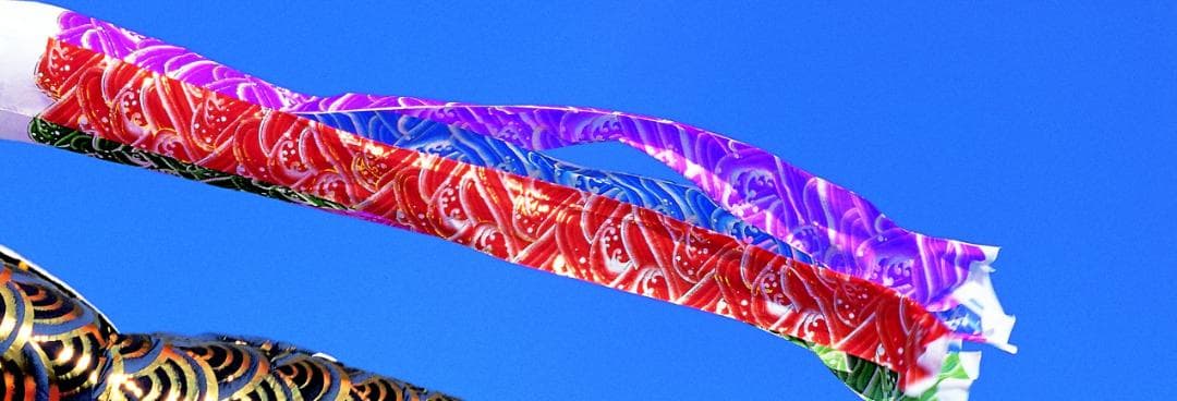 3m吹流し　単品　金箔波柄五色吹流　鯉のぼりの一番上につける吹流し単品です　新品