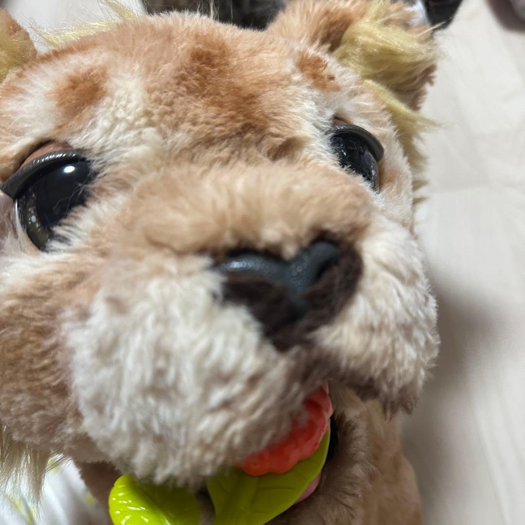 ファーリアル　ディズニー　シンバ