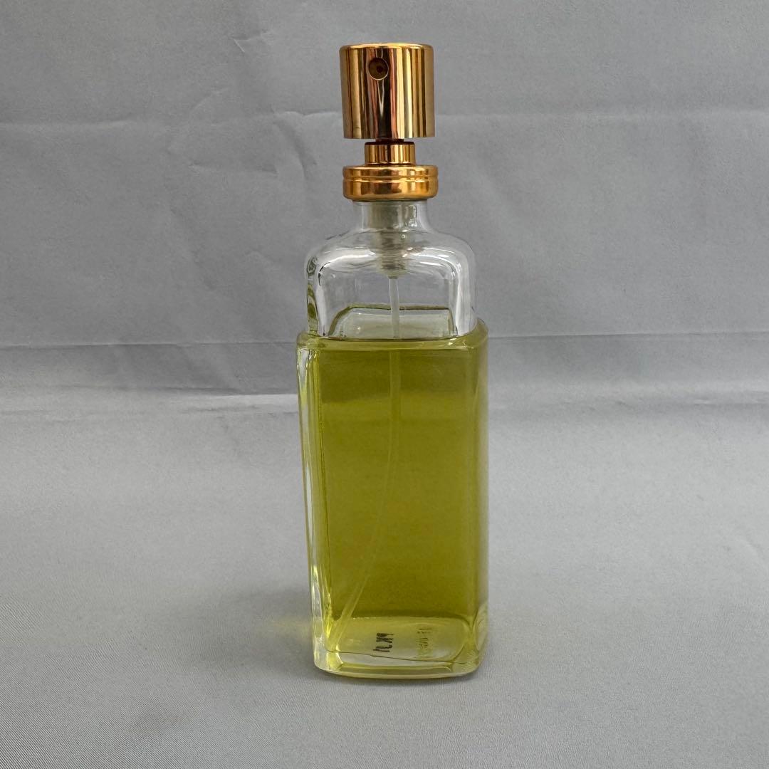 CHANEL No.19 オードトワレ 100ml シャネル 香水 - メルカリ