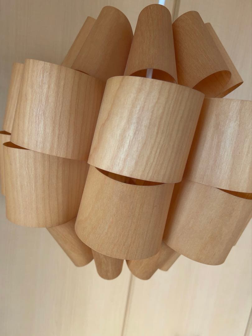 谷俊幸　シーリングライト