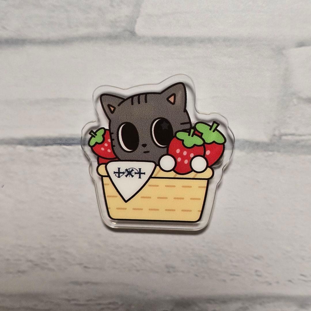 TXT 福岡 プルバトゥ ダゴニャン - メルカリ