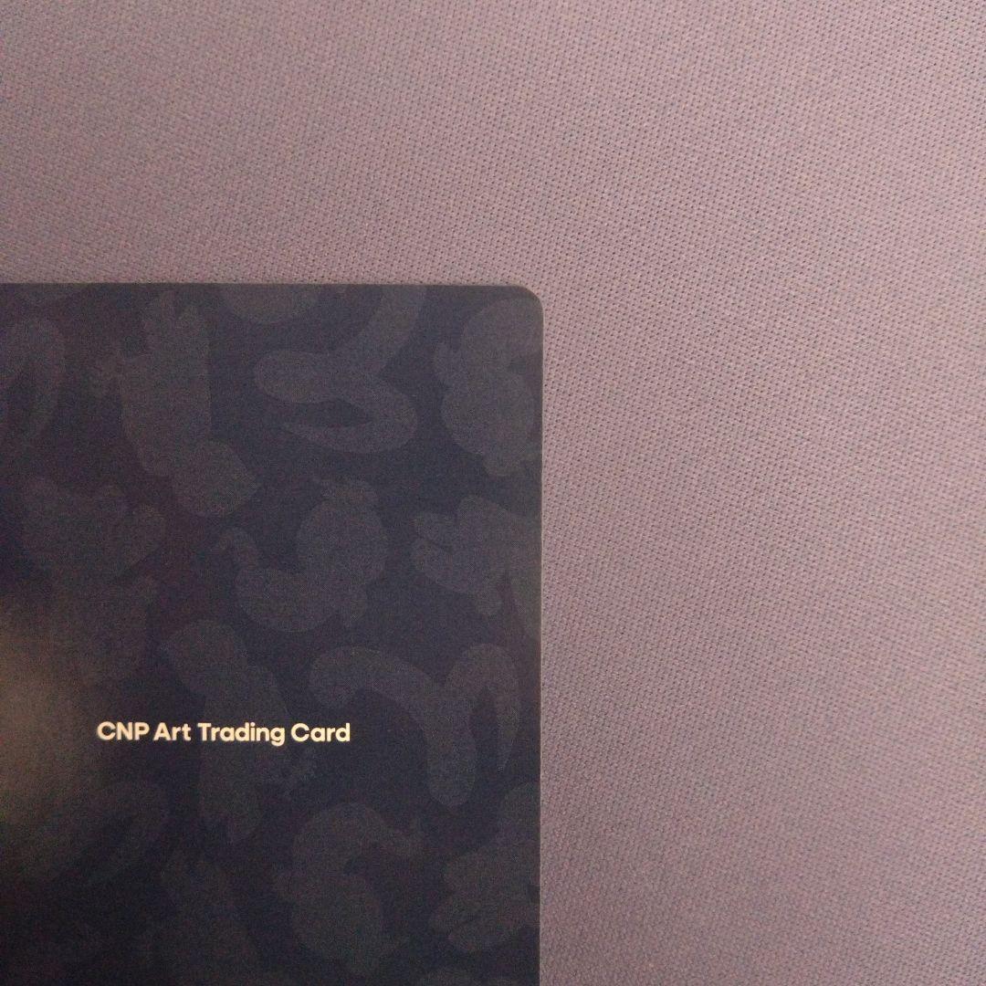 CNPアートトレカβ版 シークレット〈EX〉 SSR CNP トレカ ①