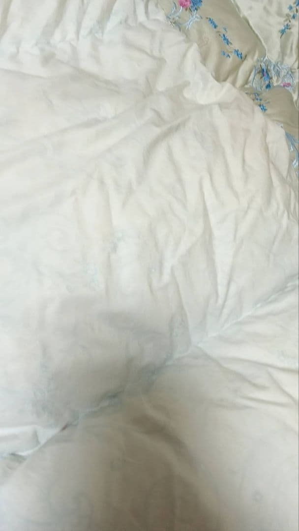 丸八真綿　冬用　羽毛掛け布団　ソワリー　羽毛　グース