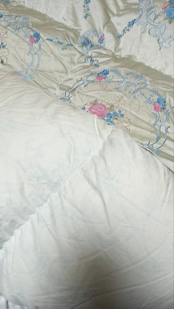 丸八真綿　冬用　羽毛掛け布団　ソワリー　羽毛　グース