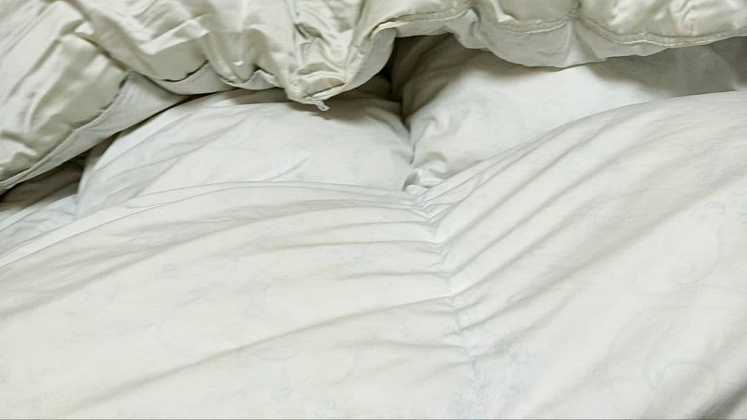 丸八真綿　冬用　羽毛掛け布団　ソワリー　羽毛　グース