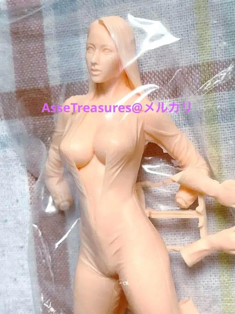 限定品 ハセガワ 1/12 ガールライダー2 フィギュア