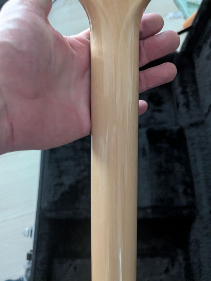 PRS SE Custom 24 ギグバッグ付