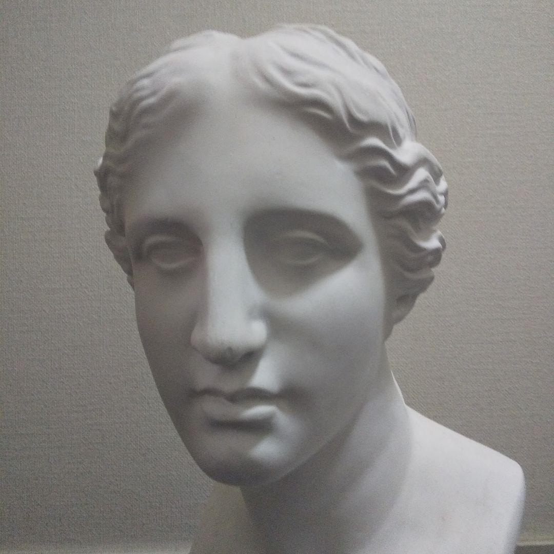 石膏像 ヴィーナス60cm