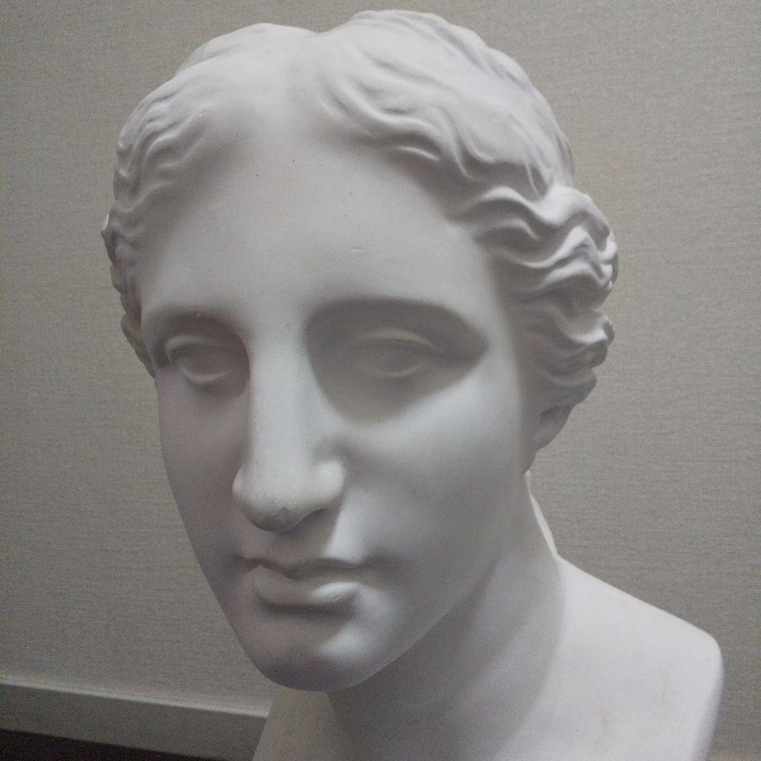 石膏像 ヴィーナス60cm