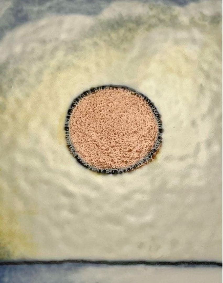 ARABIA アラビア ヘルヤ 四季の陶板画(大) \"Kesä\"