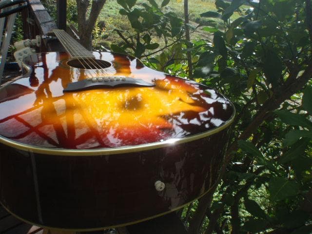 Morrisモーリス MG-301BRS 程度良い よく鳴る