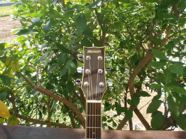 Morrisモーリス MG-301BRS 程度良い よく鳴る