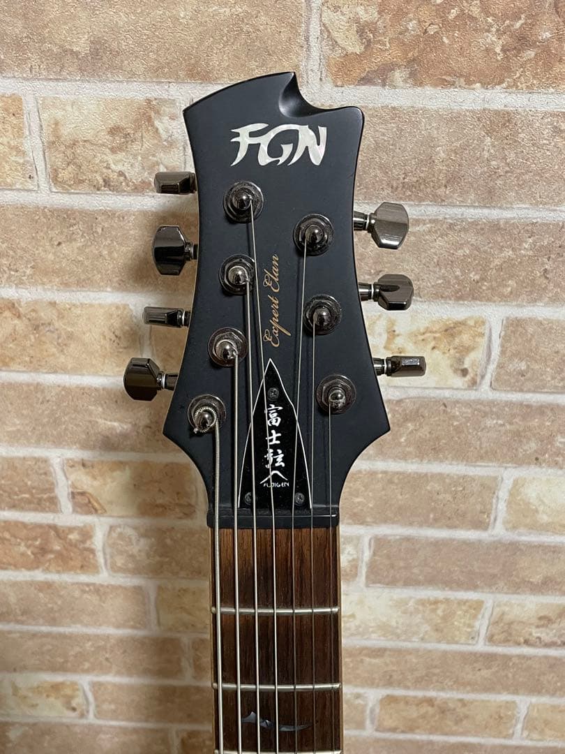 ギター FUJIGEN EEL72-DE-HM-R/MBK -Matte Black-