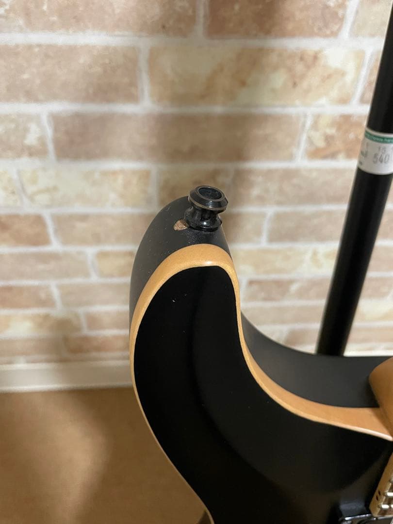 ギター FUJIGEN EEL72-DE-HM-R/MBK -Matte Black-