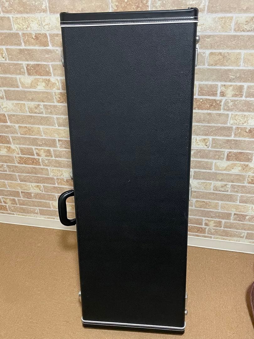 ギター FUJIGEN EEL72-DE-HM-R/MBK -Matte Black-