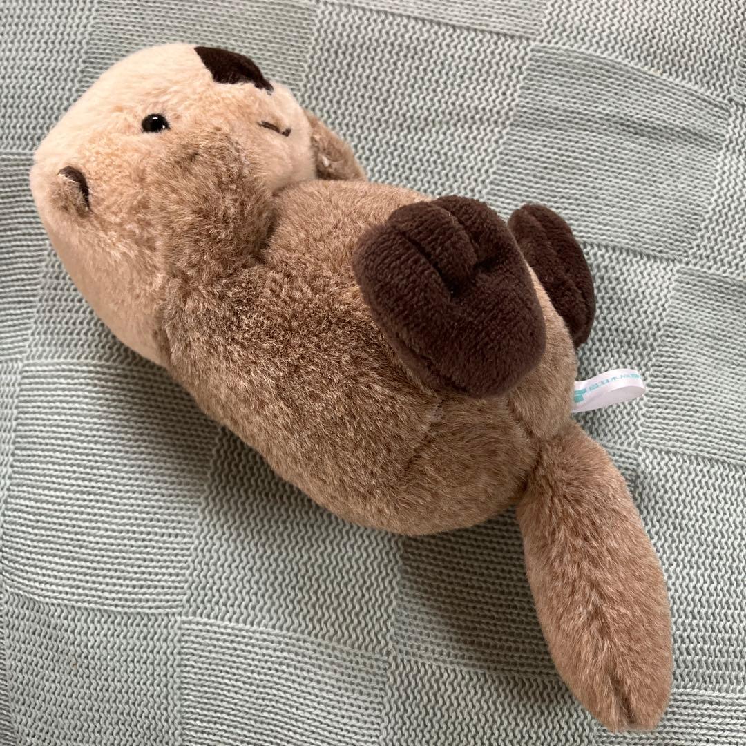 鳥羽水族館 ラッコ ぬいぐるみ - メルカリ