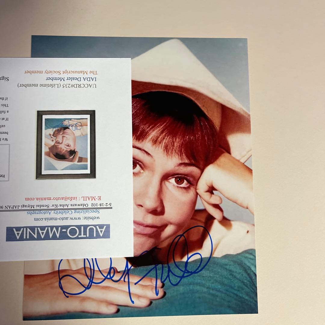 84 サリーフィールド いたずら天使