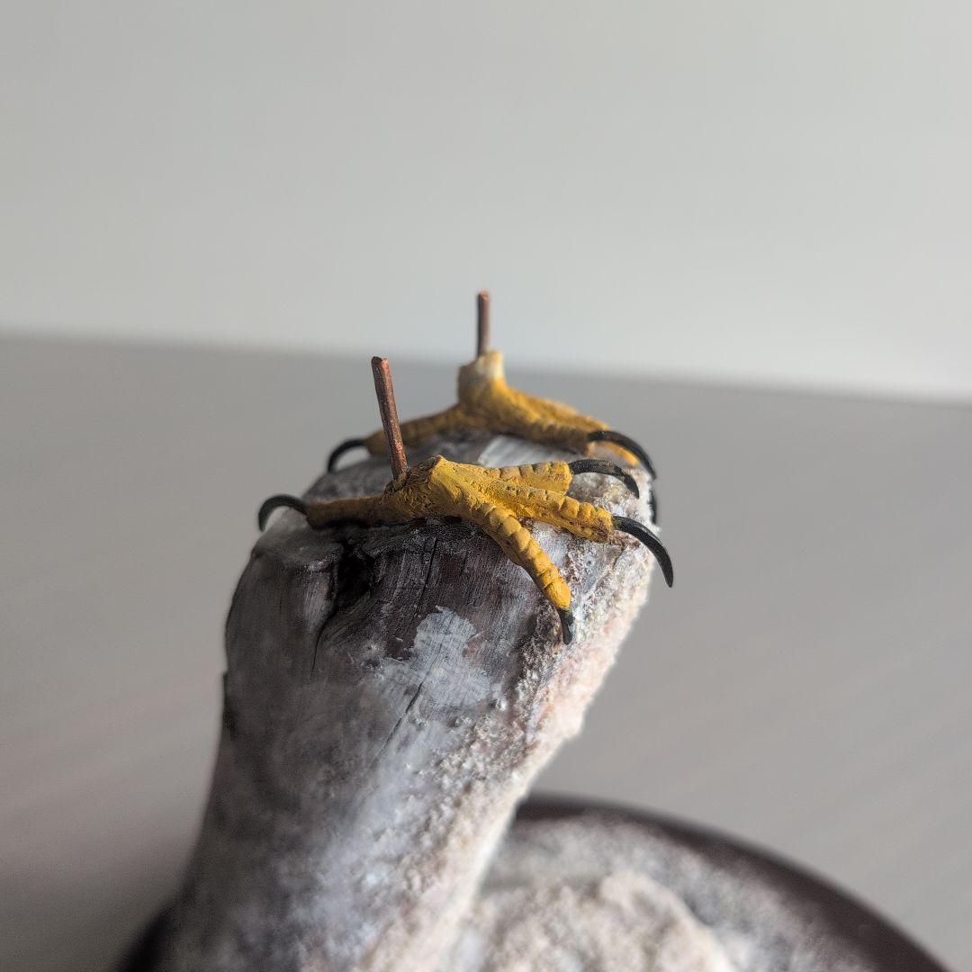 猛禽類の彫刻　　シロハヤブサ 　　バードカービング　木彫りの野鳥　野鳥彫刻