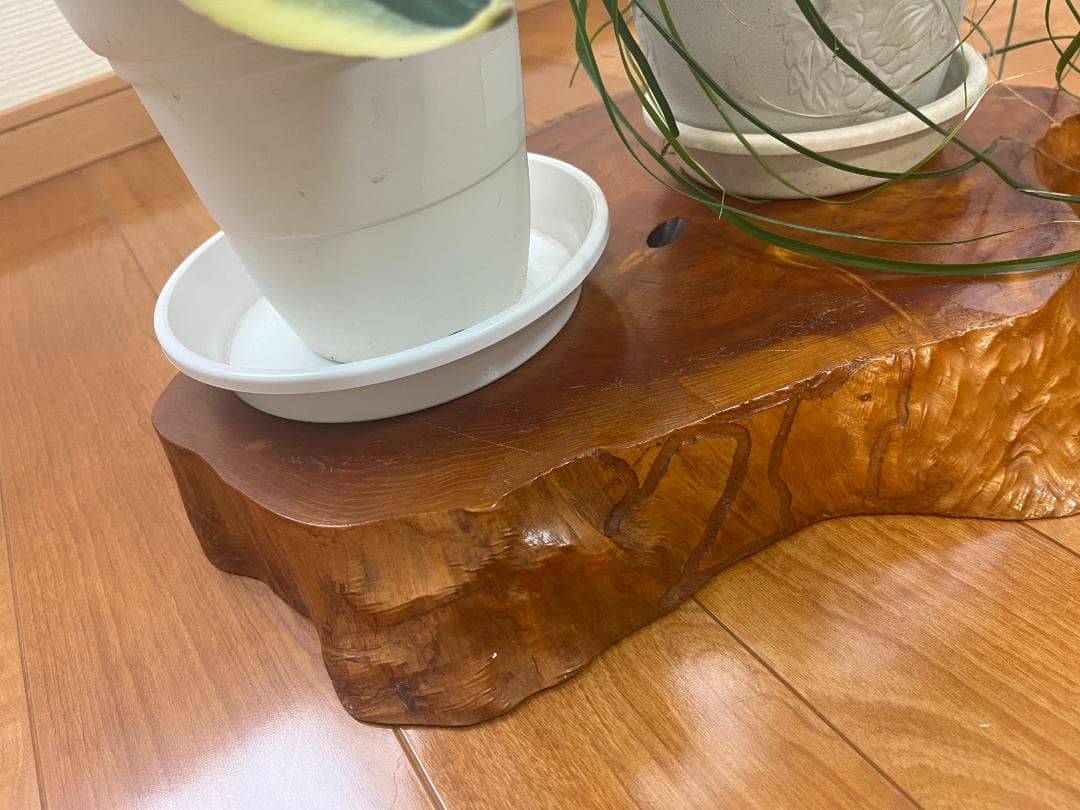 【天然一枚板】飾り台 盆栽台 花瓶台 座卓 大型【光沢仕上げ】