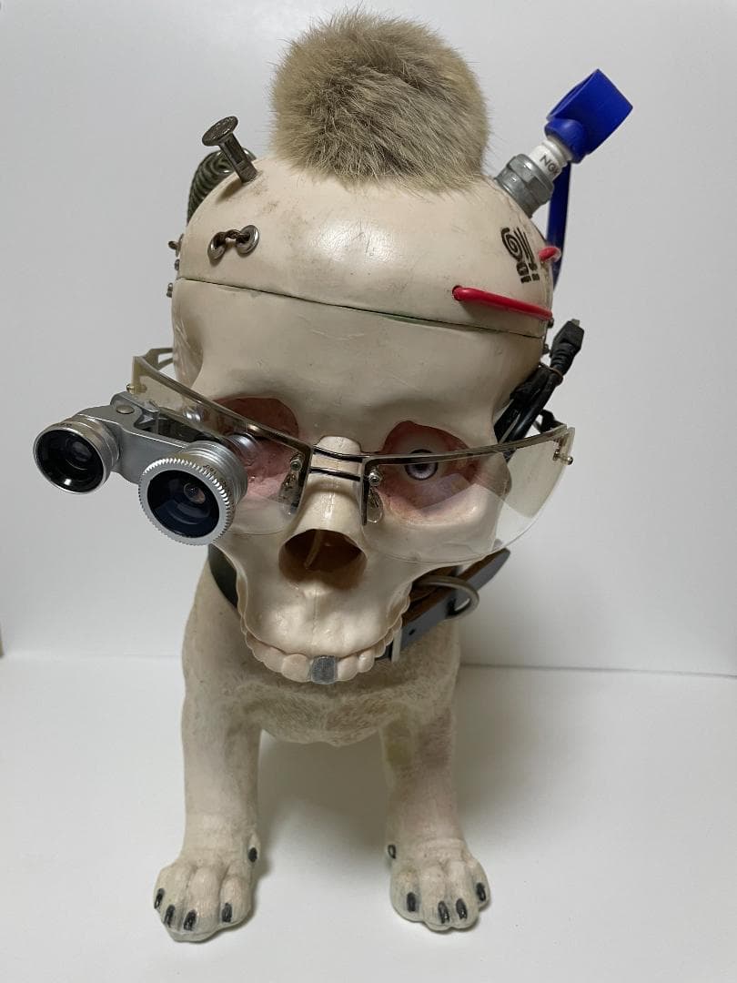 takayasu.k　世田谷ベース アンダーリペアドッグ 初期バージョン