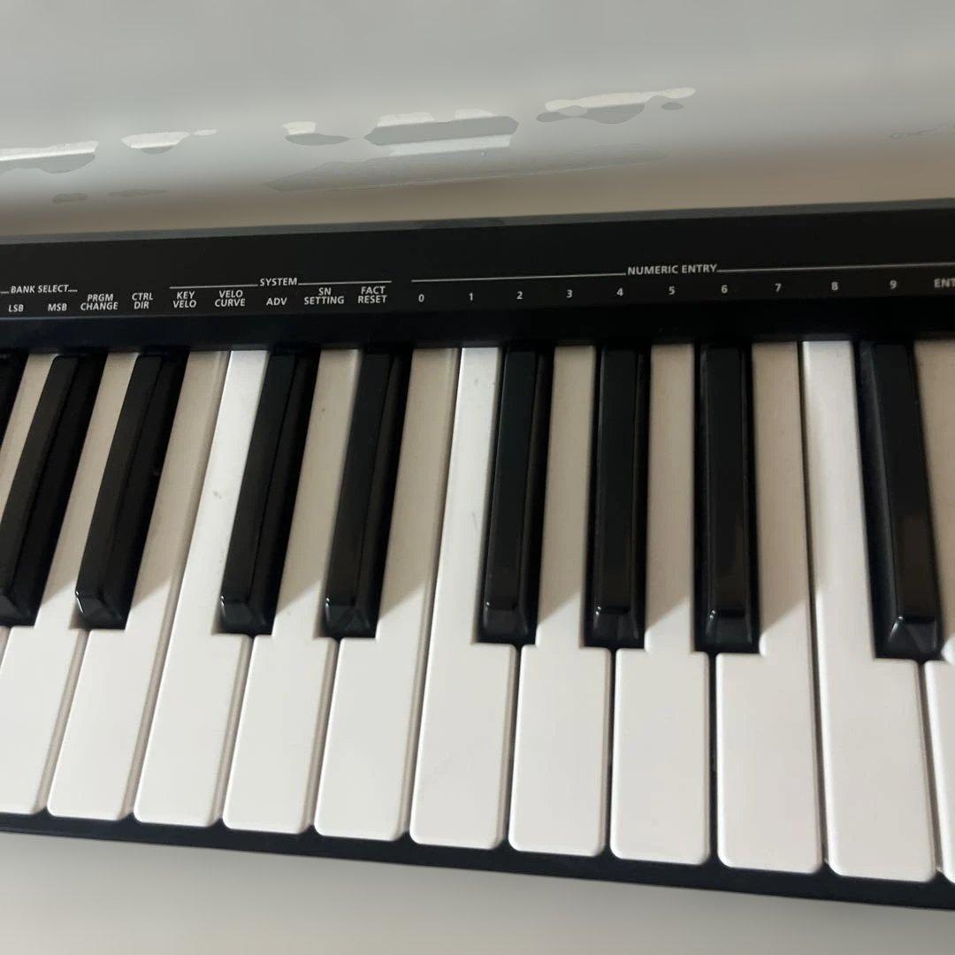 Roland A-49 MIDIキーボード 49鍵 USB　ローランド　軽量