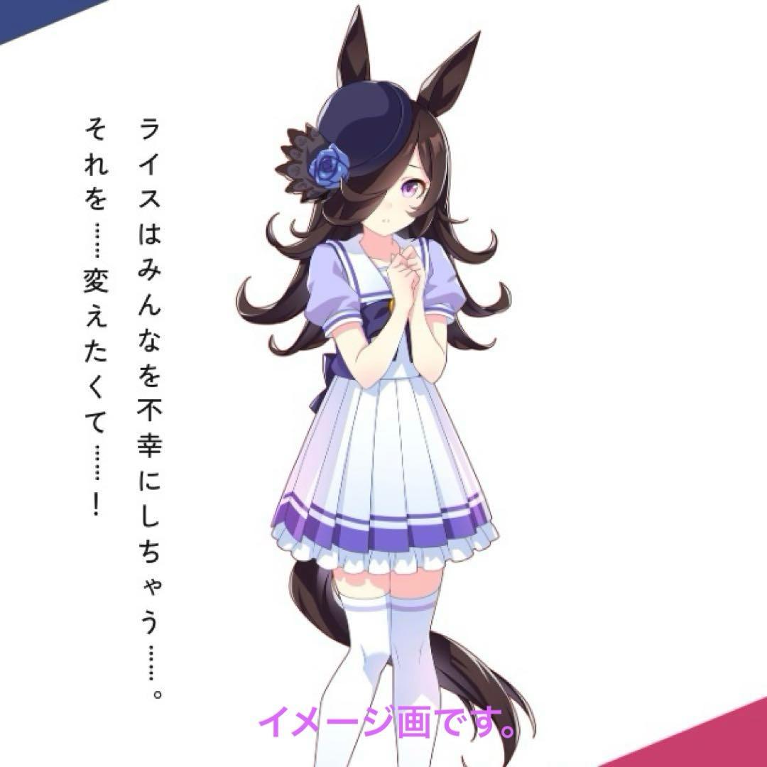 未開封美品！ライスシャワー「ウマ娘プリティーダービー S.H.Figuarts」