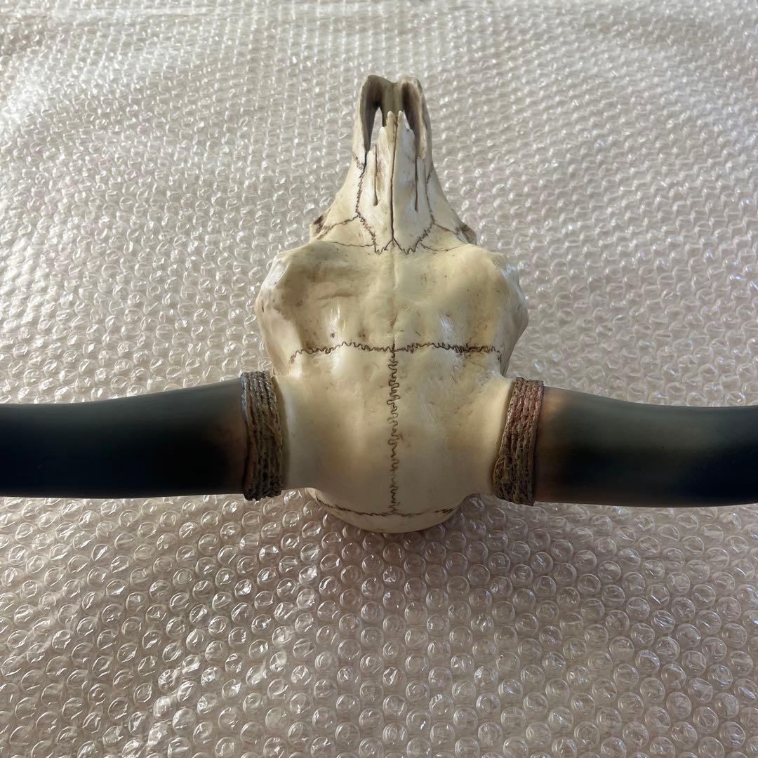 バッファロー スカル ハンティングトロフィー 頭蓋骨 オブジェ 壁掛け レジン製