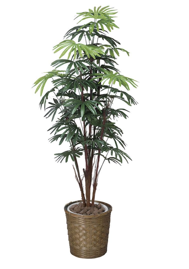 光触媒　人工観葉植物　ウォールグリーン　フェイクグリーン　シュロチク 1.6m