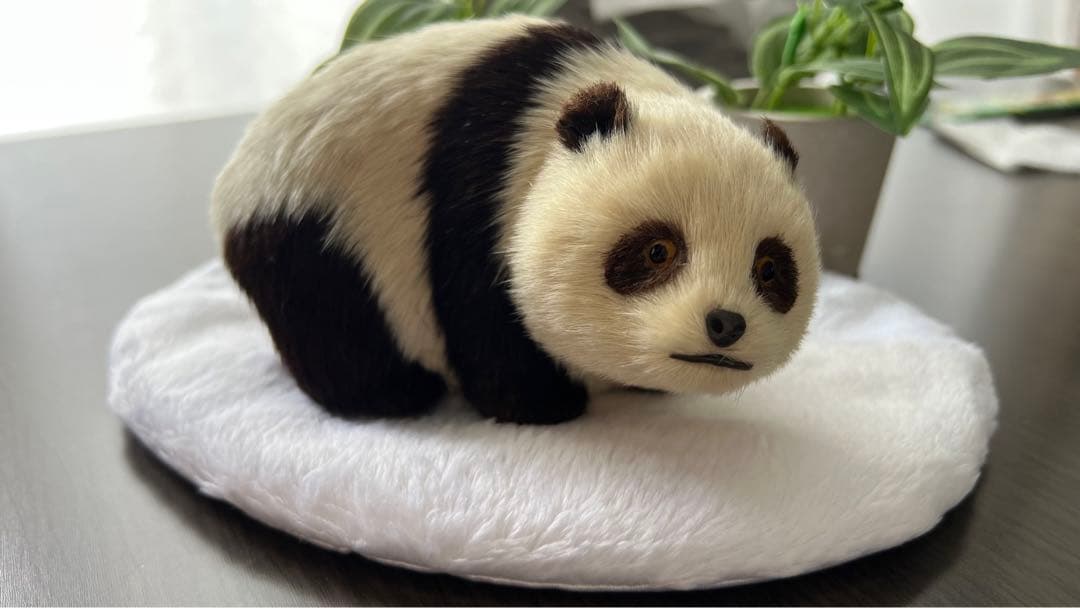 パンダ　本物の様！毛並みが可愛いです！オブジェ　置き物　インテリア