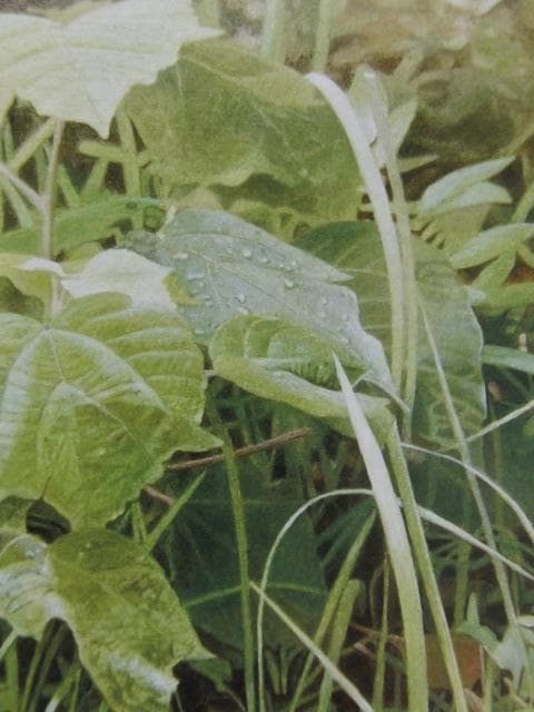 川村悦子、【秋雨】、希少な限定額装用画集画、新品高級額 額装付、状態良好