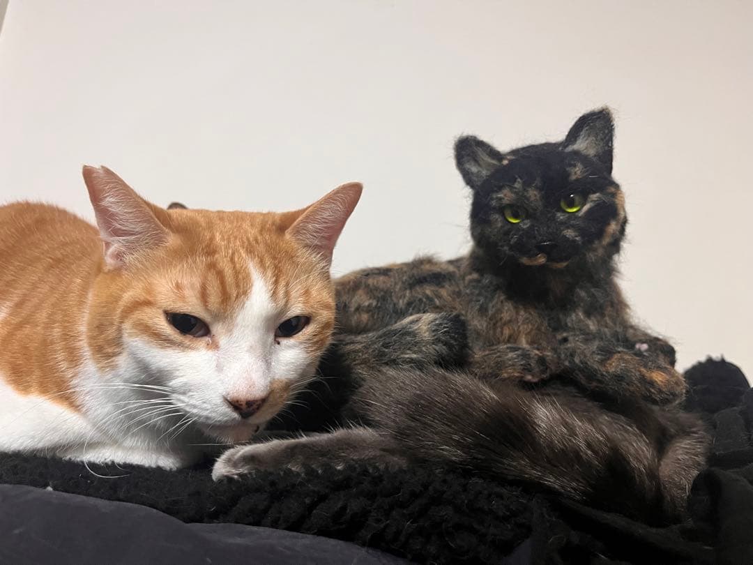 うちの子オーダー　羊毛フェルト　猫　オーダーページ　ぬいぐるみ　置物