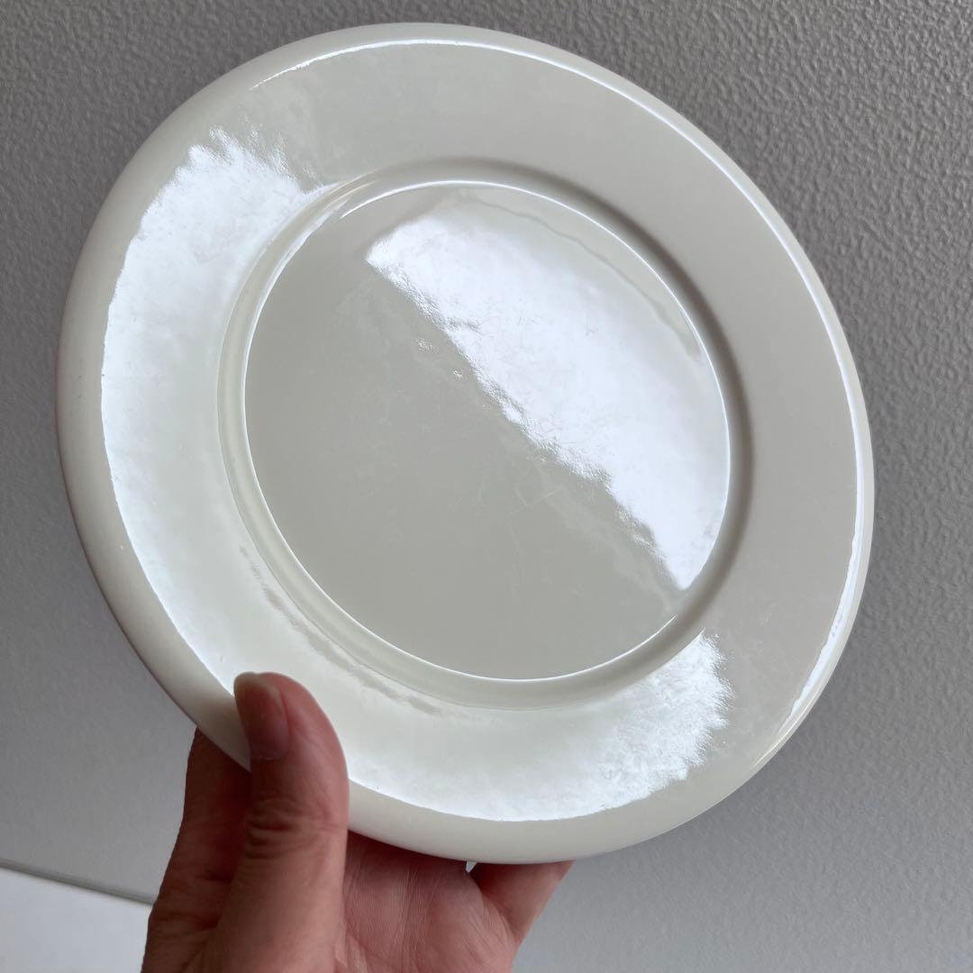 ６枚セットARABIA ego アラビア　エゴプレート19センチ