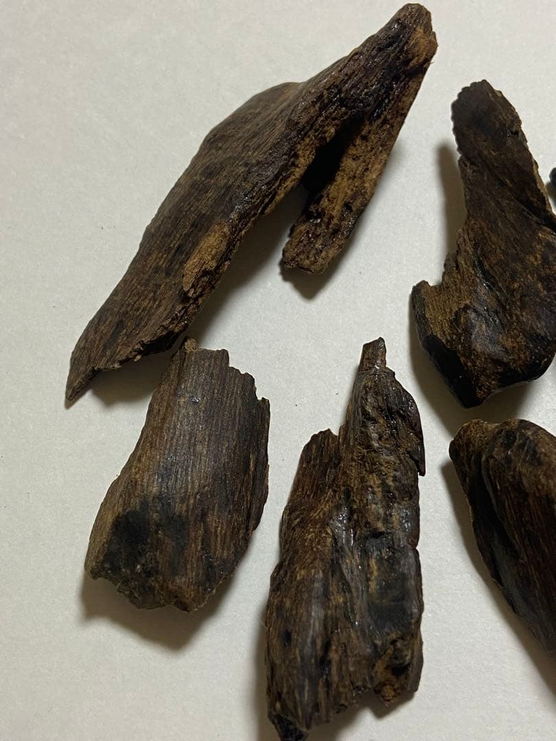 黒タニ詰め合わせ